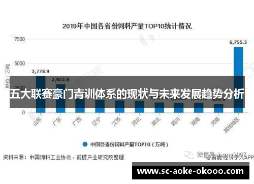 五大联赛豪门青训体系的现状与未来发展趋势分析